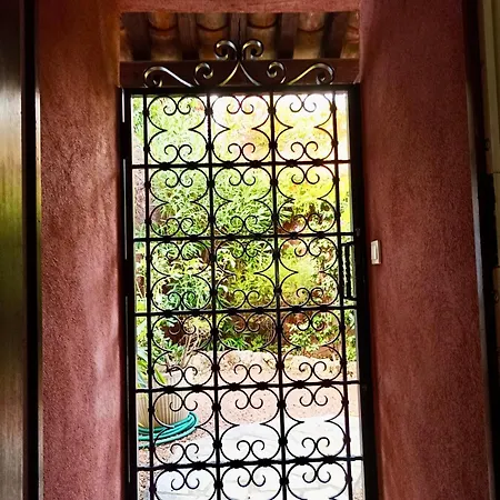 Paradis Bleu * Saint-Raphaël